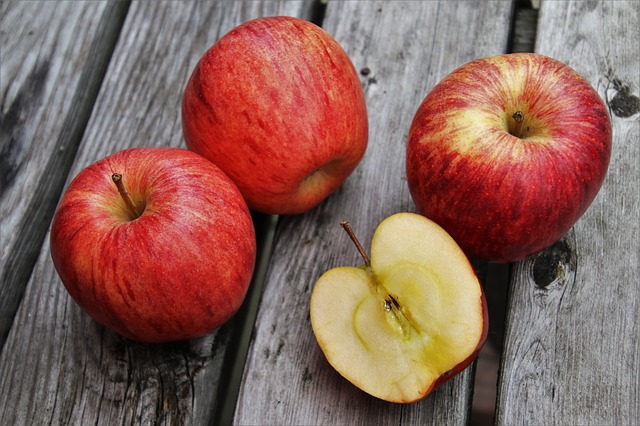 猫,秋の味覚,フルーツ,リンゴ