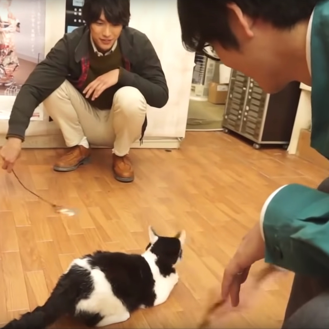 映画「旅猫リポート」福士蒼汰らキャストが出演猫や犬たちと触れ合うメイキング映像を公開！