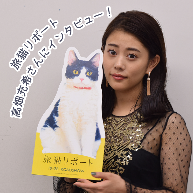 映画「旅猫リポート」高畑充希さんが声優に挑戦！動物への思いや、映画への心境をインタビュー