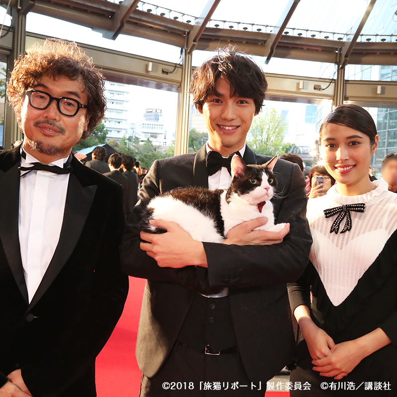 映画「旅猫リポート」東京国際映画祭に福士蒼汰やナナらが登場。仲睦まじい姿と可愛さに虜になる人続出