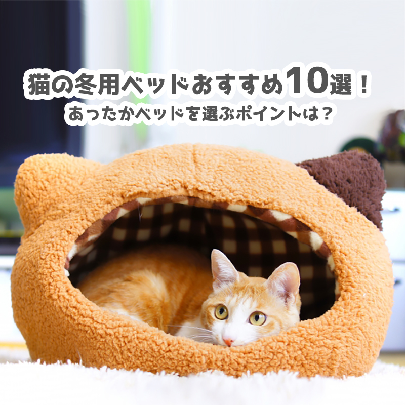 猫の冬用ベッドおすすめ10選！あったかベッドを選ぶポイントは？