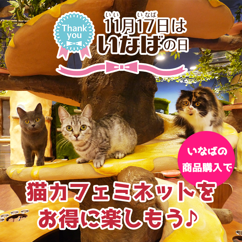 【一日限定】11月17日は「いなばの日」！いなば商品を購入して「猫カフェ ミネット」をお得に楽しもう♪