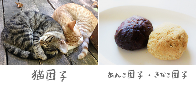 猫団子と団子の比較