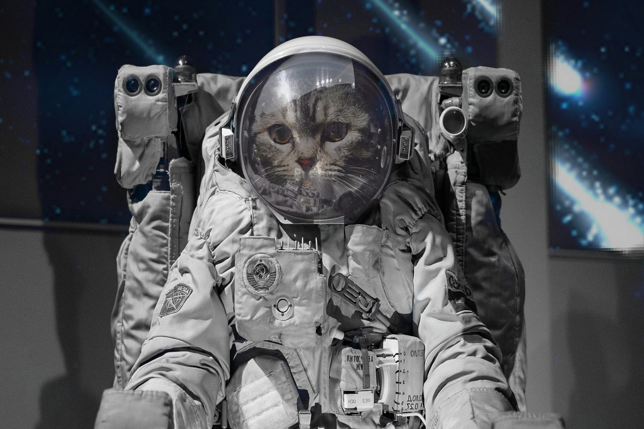 宇宙服を着た猫