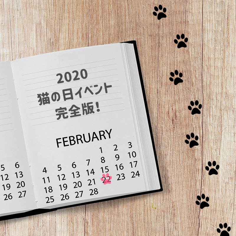2020年猫の日イベント完全版！東京・大阪他2月の猫イベント特集