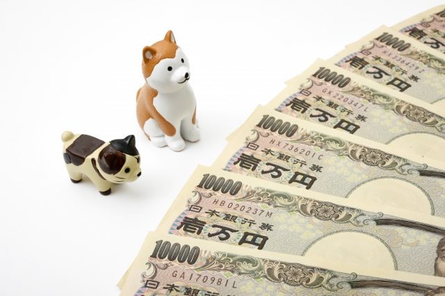 一万円札と犬と猫