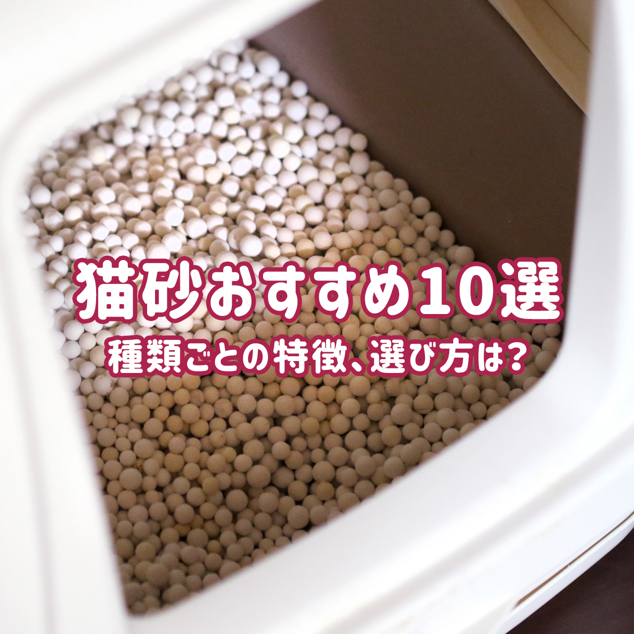【猫砂おすすめ10選】猫のトイレ砂の種類ごとの特徴、選び方は？