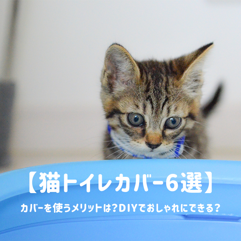 【猫トイレカバー6選】カバーを使うメリットは？DIYでおしゃれにできる？