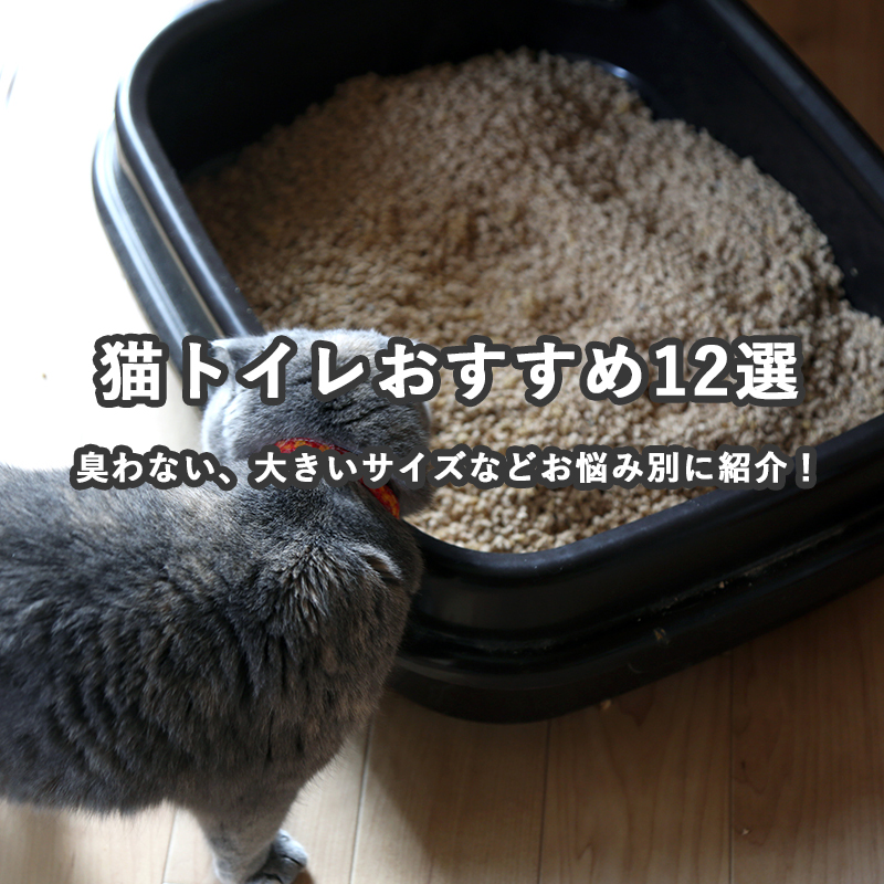 【猫トイレおすすめ12選】臭わない、大きいサイズなどお悩み別に紹介！