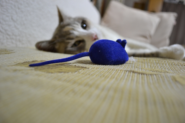 猫とねずみのおもちゃ