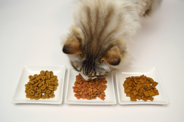 獣医師監修 老猫の餌の選び方 食べない時の工夫やおすすめフード4選