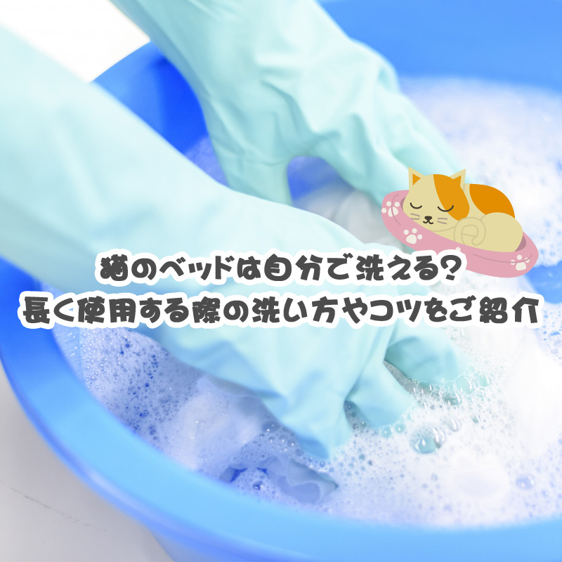 洗える猫ベッド3選！長く使用する際の洗い方やコツをご紹介