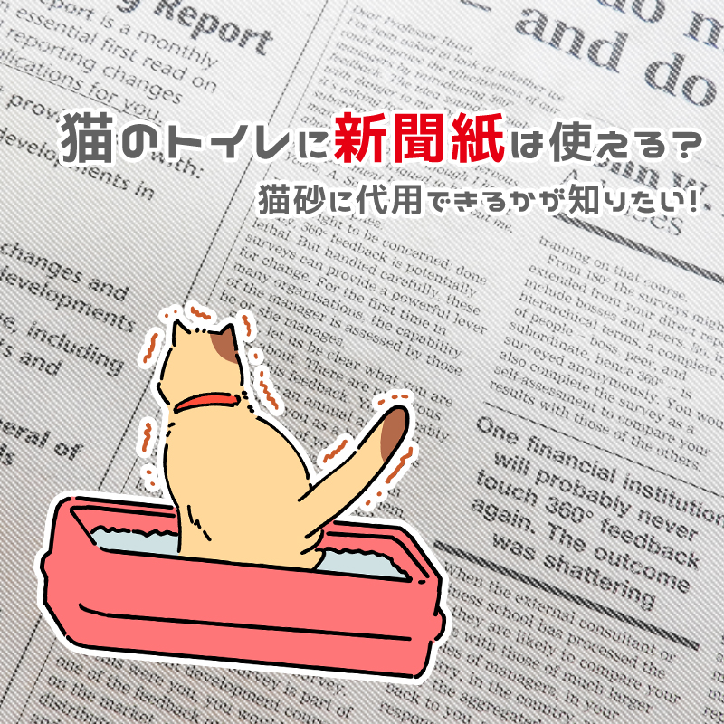 猫のトイレに新聞紙は使える？猫砂に代用できるかが知りたい！