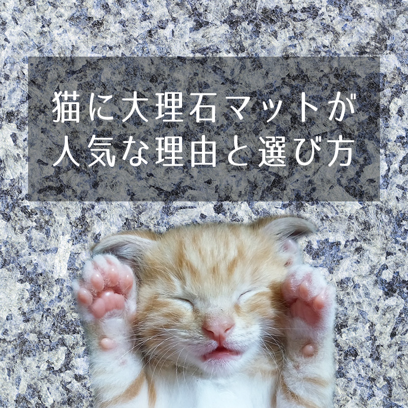 【夏の暑さ対策】猫に大理石マットが人気な理由と選び方