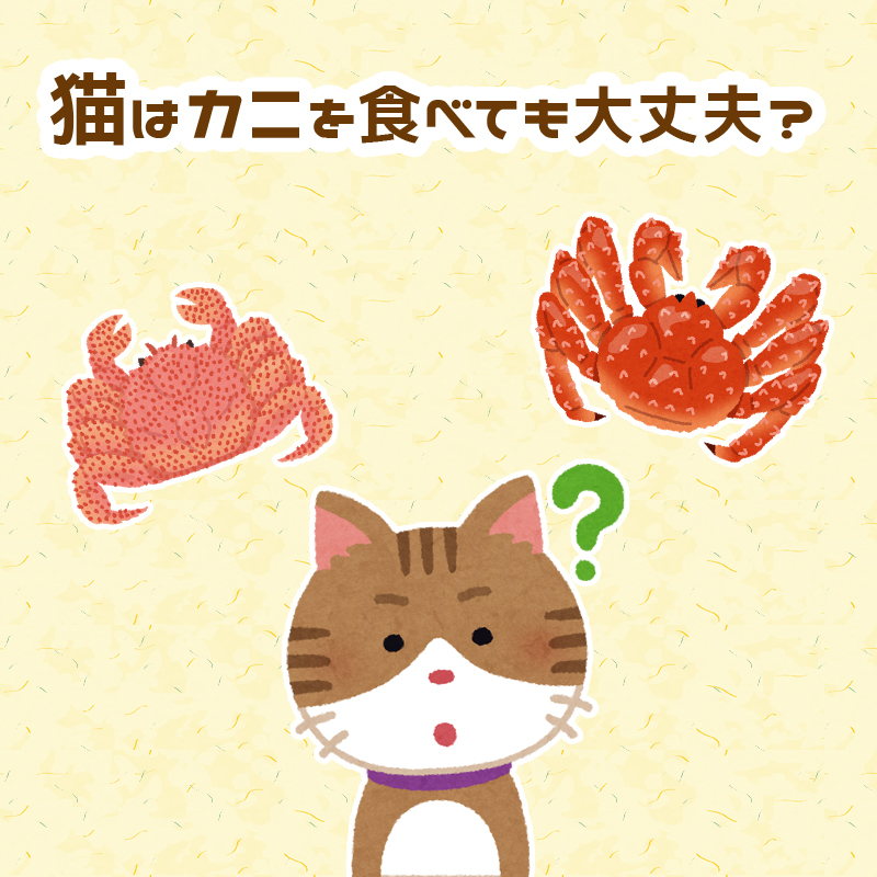 【獣医師監修】猫はカニを食べても大丈夫？欲しがる場合にはどうしたら良いの？