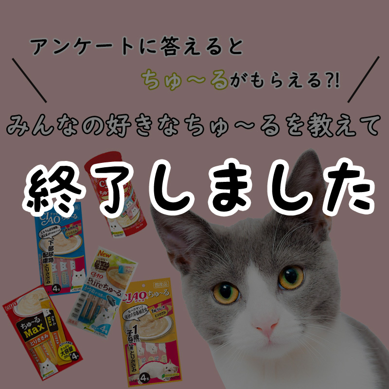 【人気のちゅ～るをプレゼント♪】みんなの好きなちゅ～るを教えて！アンケートにご協力ください。