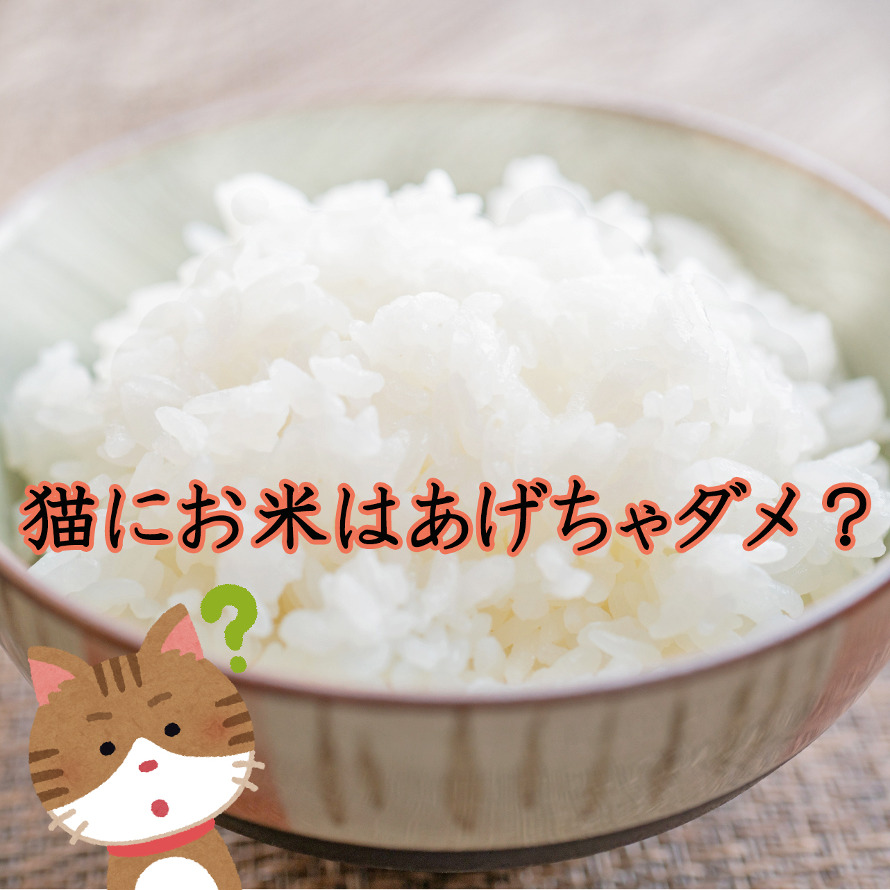 猫はお米を食べても大丈夫？お米の栄養や注意点をご紹介