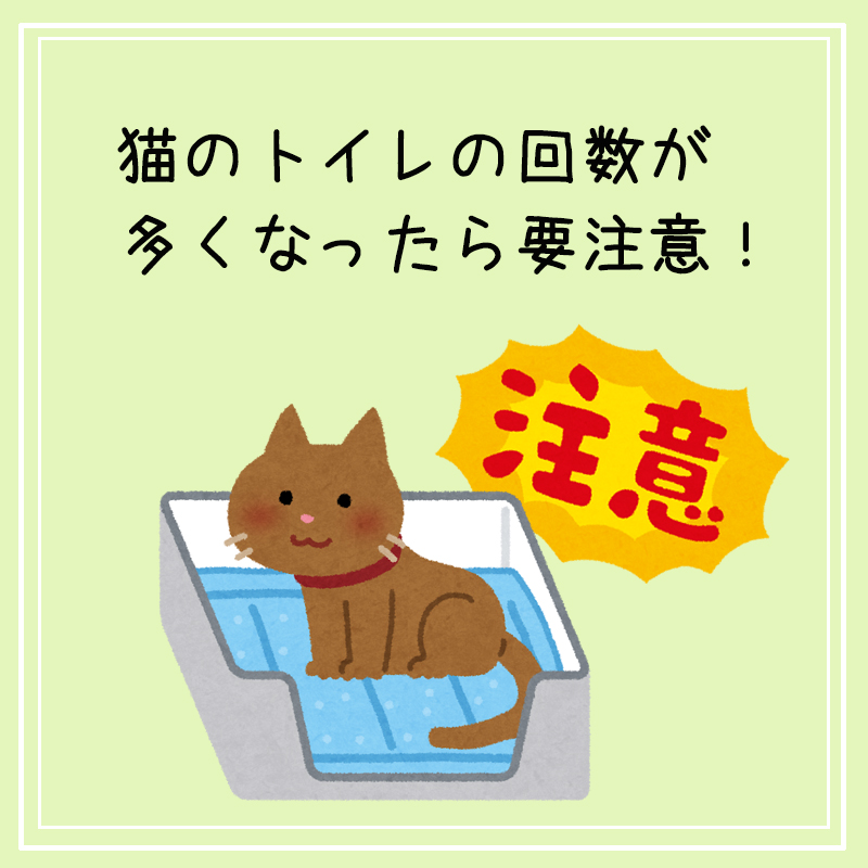 猫のトイレの回数が多くなったら要注意！気をつけたい病気と対処法