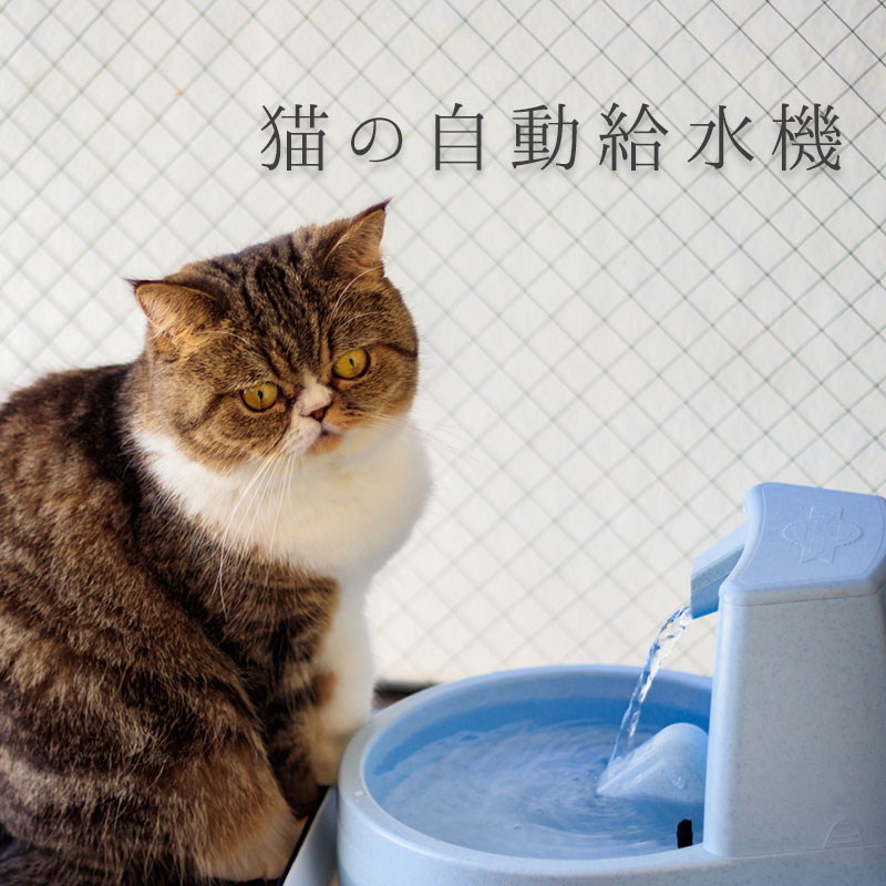 猫の自動給水器を購入！事前に知りたい使い方やお手入れ方法
