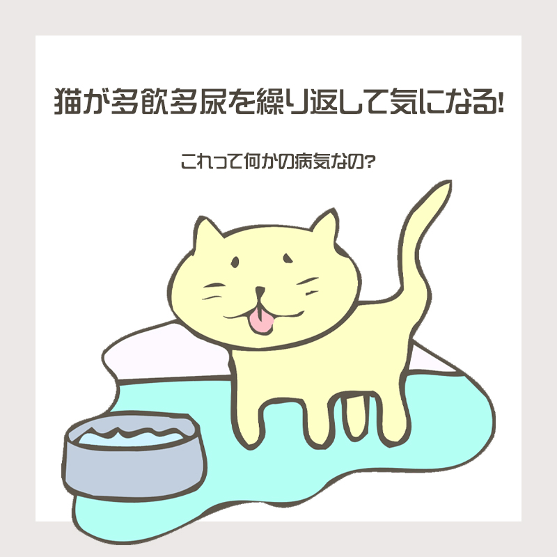 【獣医師監修】猫が多飲多尿を繰り返して気になる！これって何かの病気なの？