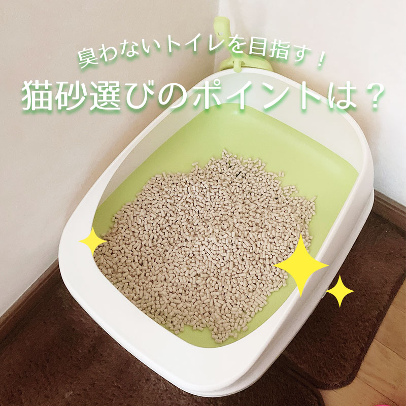 臭わない猫トイレ環境を目指す！まずは猫砂の見直しから始めよう！