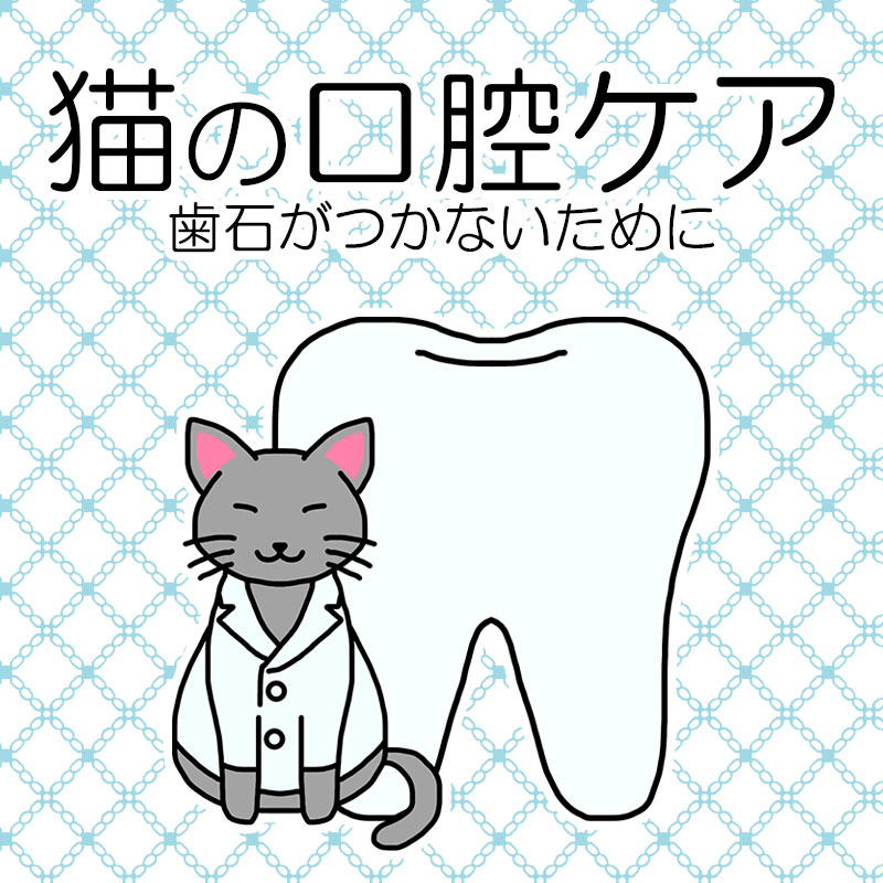 【獣医師監修】猫に歯のケアは必要なの？歯石が付かないための予防法が知りたい