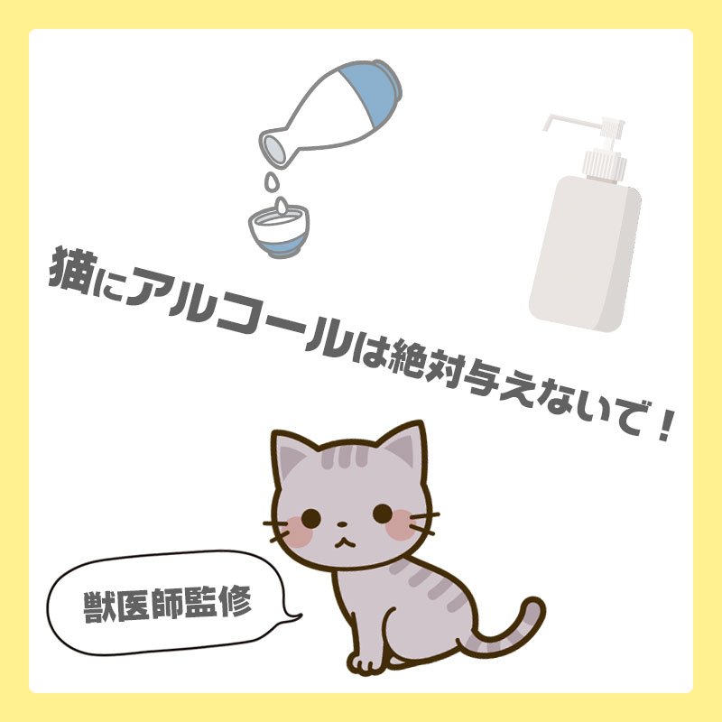 【獣医師監修】猫にアルコールは絶対与えないで！気をつけたいのは誤飲だけじゃない？