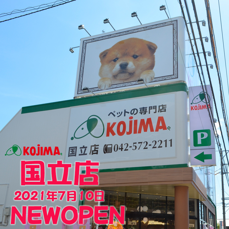 ペットの専門店コジマ国立店がオープン！店内の様子とお得情報をお届け♪