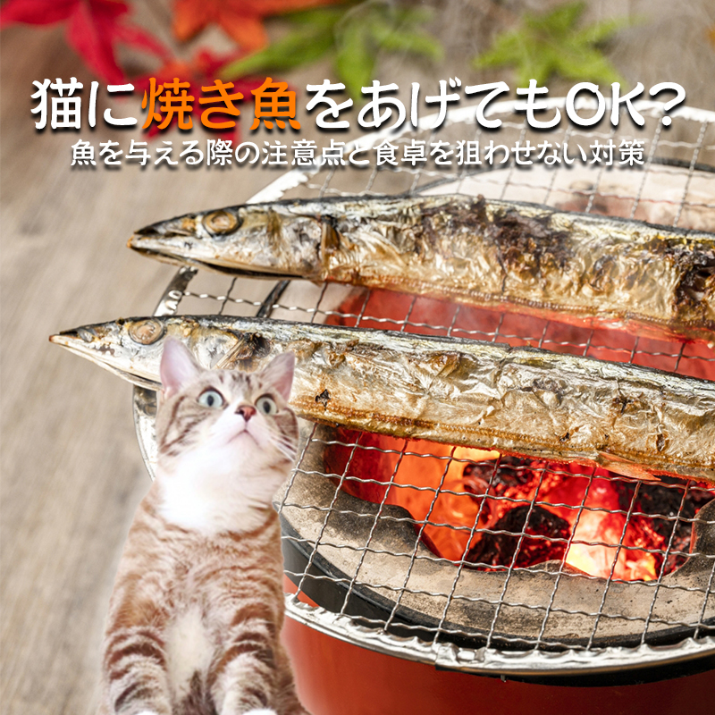 猫に焼き魚をあげてもOK？魚を与える際の注意点と食卓を狙わせない対策