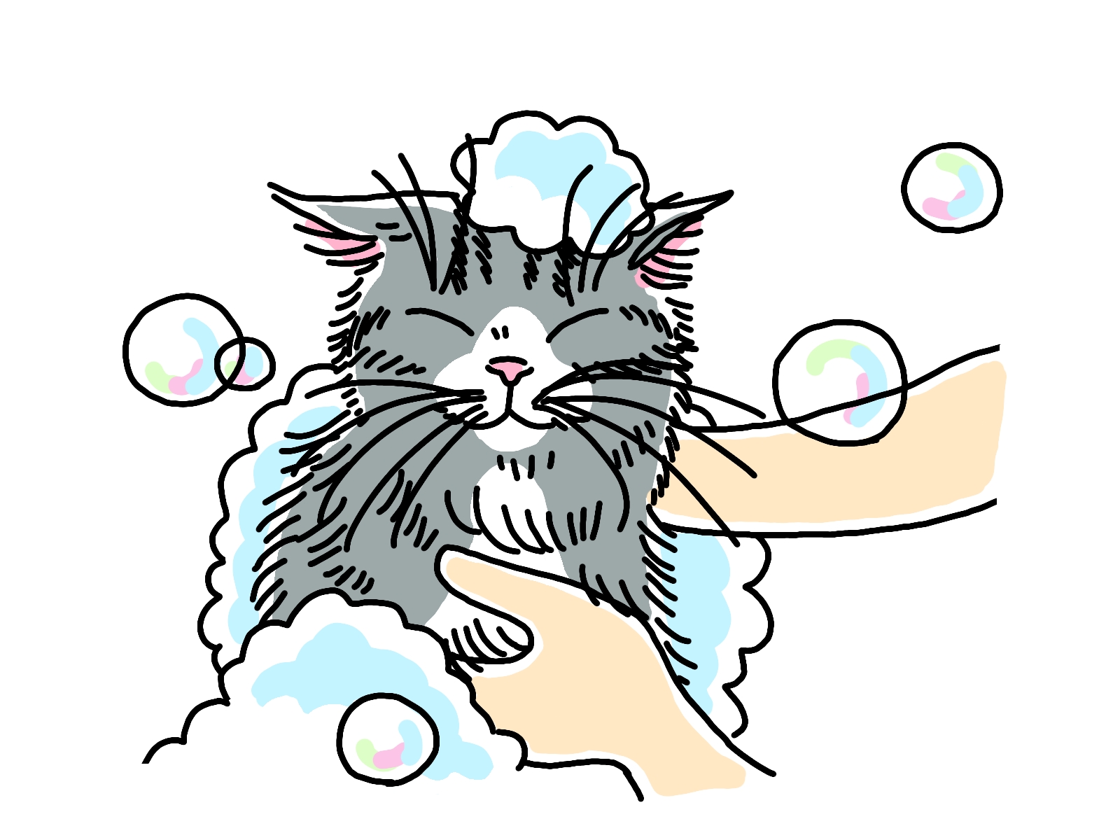 シャンプーされる猫のイラスト