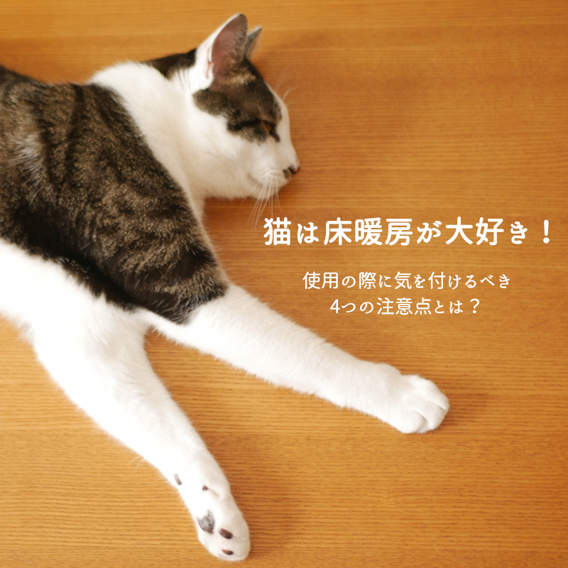 猫は床暖房が大好き！使用の際に気を付けるべき4つの注意点とは？