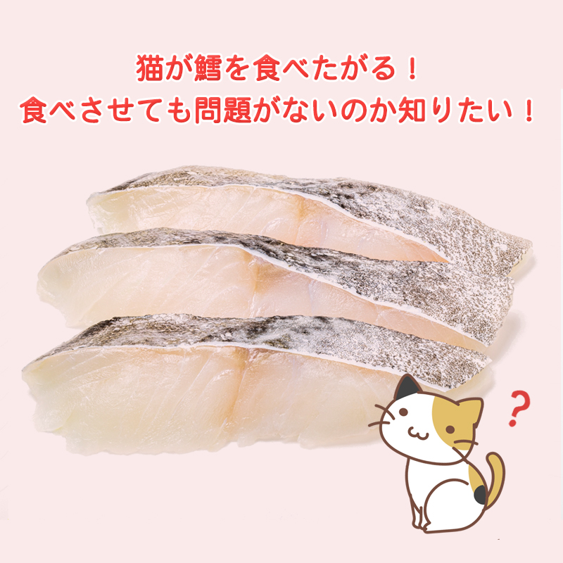 猫が鱈を食べたがる！食べさせても問題がないのか知りたい！