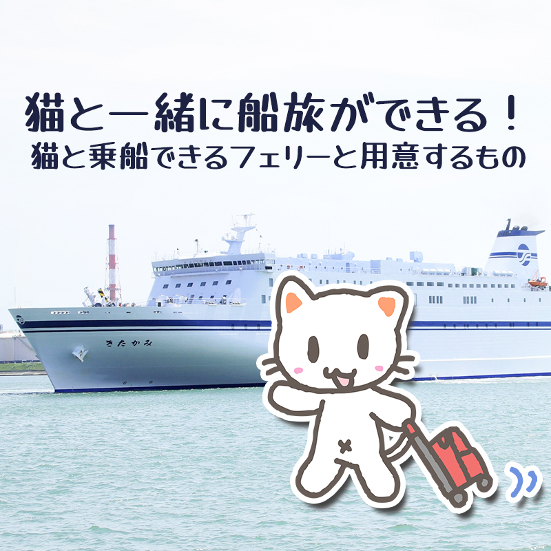 猫と一緒に船旅ができる！猫と乗船できるフェリーと用意するもの