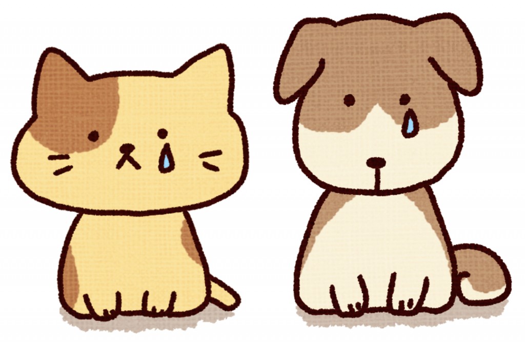 悲しそうな猫と犬