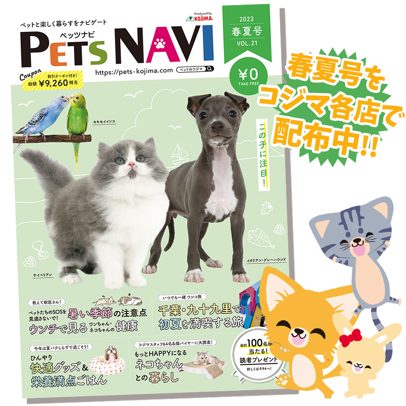 ペットに関する春夏の情報が満載！ペットの専門店コジマ情報誌『PETS NAVI第21号』が発刊！