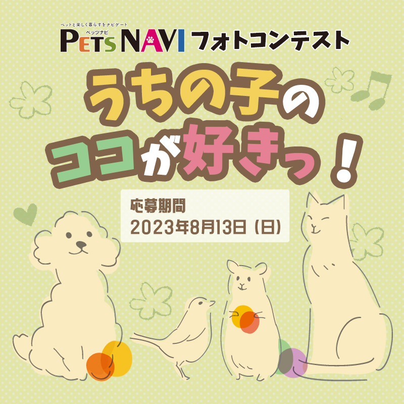 選ばれたらペットの専門店コジマ情報誌に掲載！『うちの子のココが好きっ！』フォトコン開催中