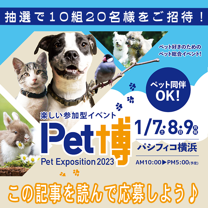 【抽選で10組20名様を特別ご招待】Pet博2023横浜が1月7日(土)より３日間開催！