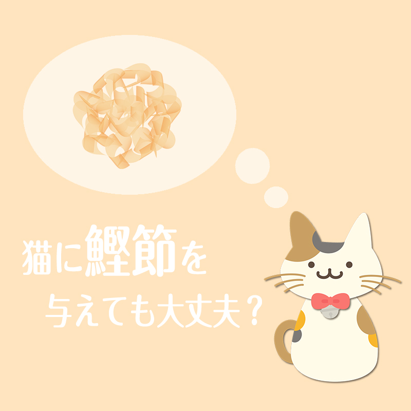 猫に鰹節(ねこにかつおぶし)のイメージは日本だけ？猫に鰹節を与えても大丈夫なのか