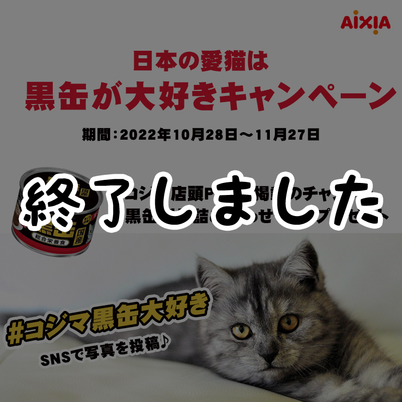 【コジマ店頭POP掲載のチャンス！】「日本の愛猫は黒缶が大好き！キャンペーン」SNSで投稿するだけ♪