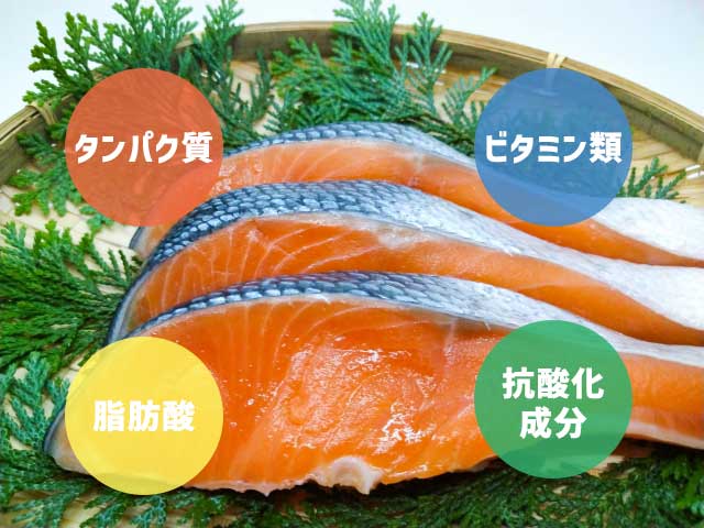鮭に含まれる栄養素