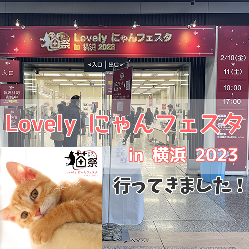 Lovely にゃんフェスタin横浜2023に行ってきました！