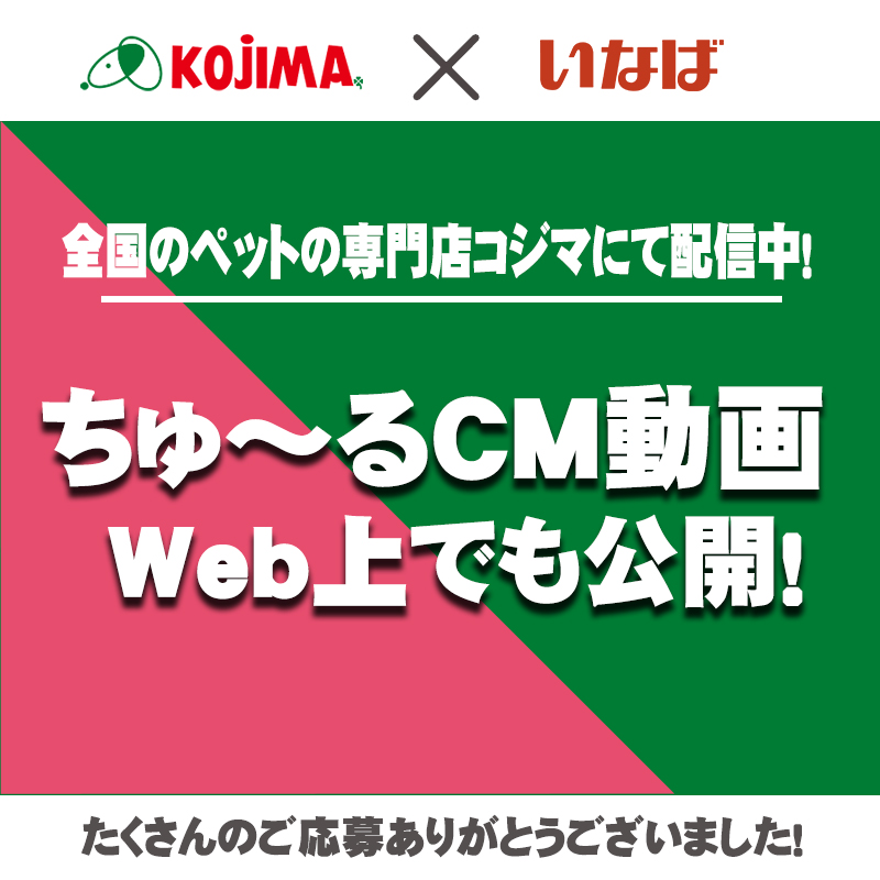 【コジマ×いなば】ちゅ～るの店頭CMをWeb上で特別公開！