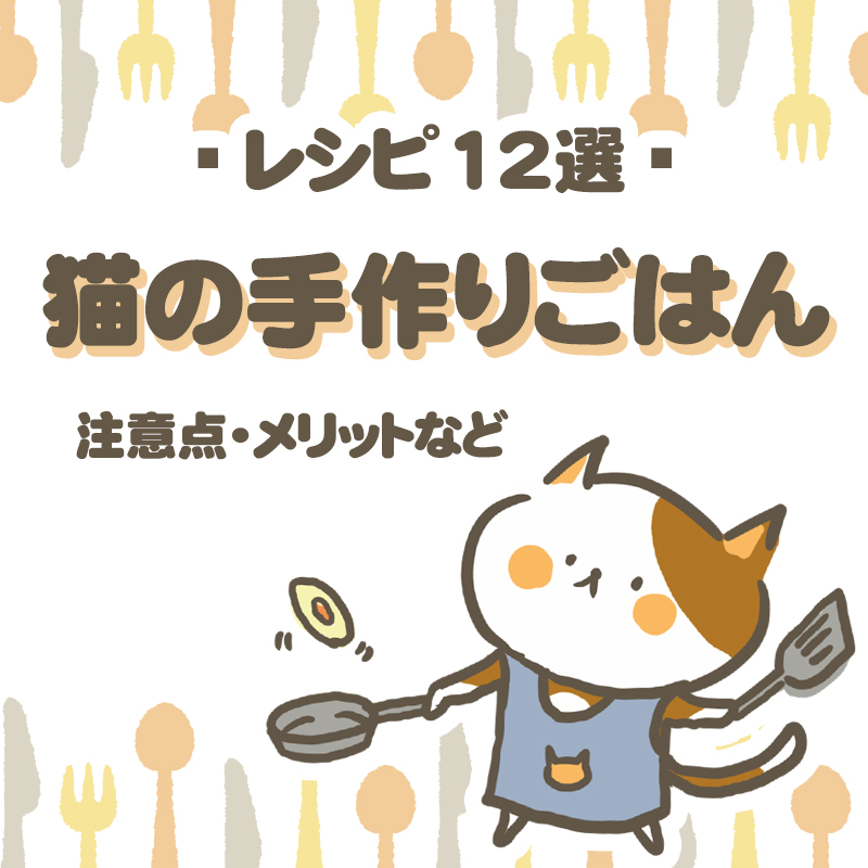 【レシピ12選】猫に手作りご飯を食べさせる！レシピや注意点、メリットなどご紹介！