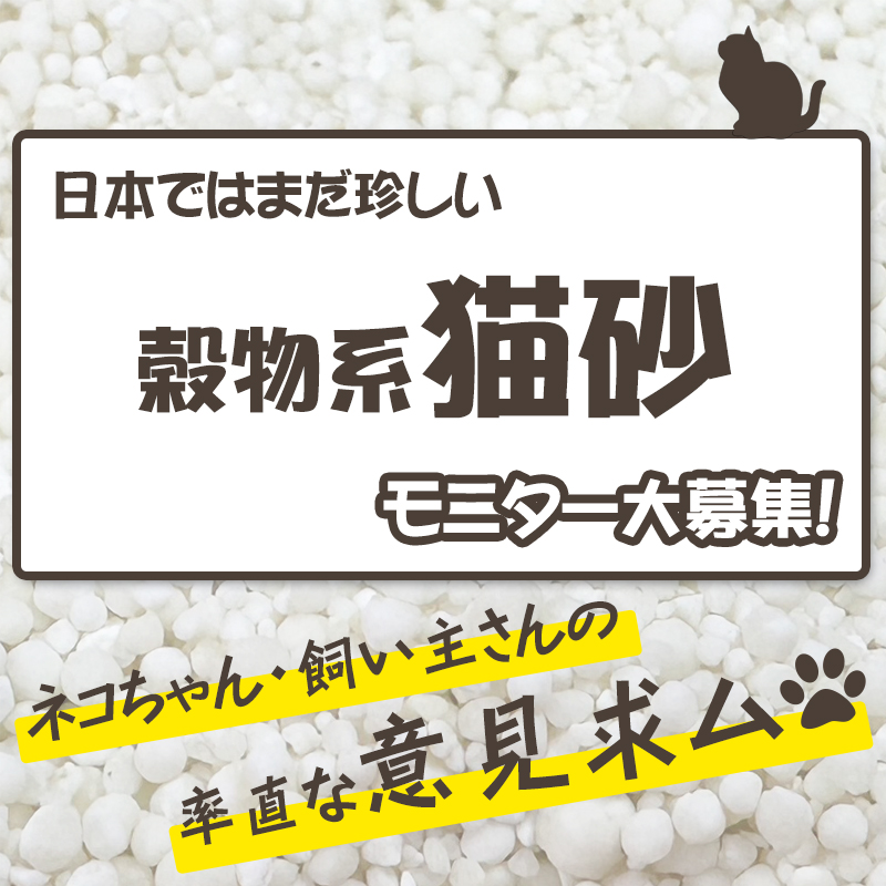 【モニター募集】穀物系猫砂をお試ししてくれるネコちゃんを大募集！