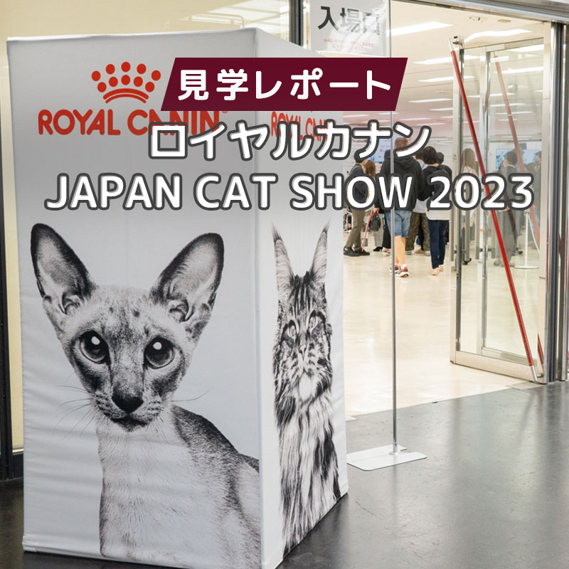 【行ってきました】ロイヤルカナン JAPAN CAT SHOW 2023