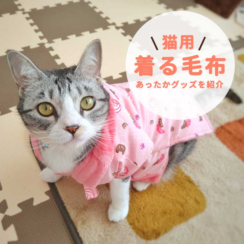 猫用の「着る毛布」ってどんな商品？猫のための寒さ対策をしよう