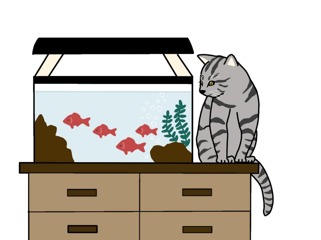 猫と水槽のイラスト