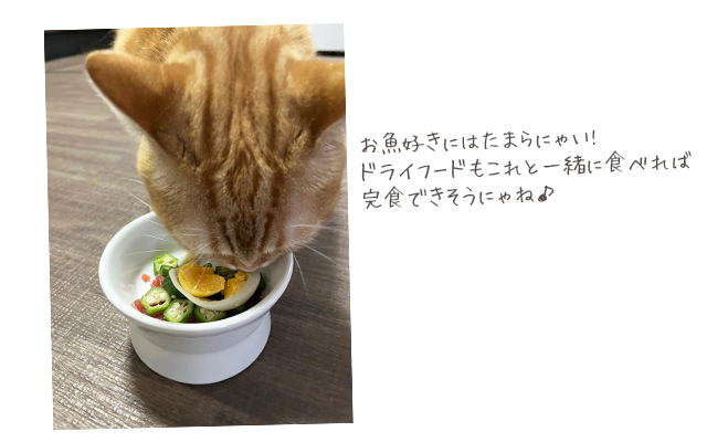 試食