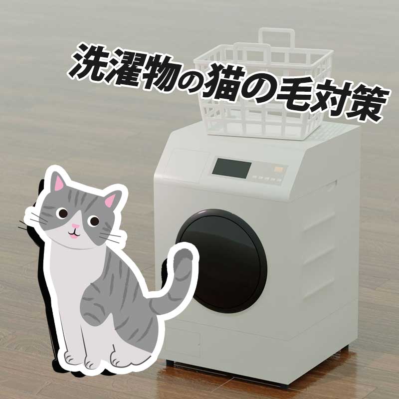 猫の毛はどうして洗濯物に付きやすいの？おすすめの対策方法をご紹介！