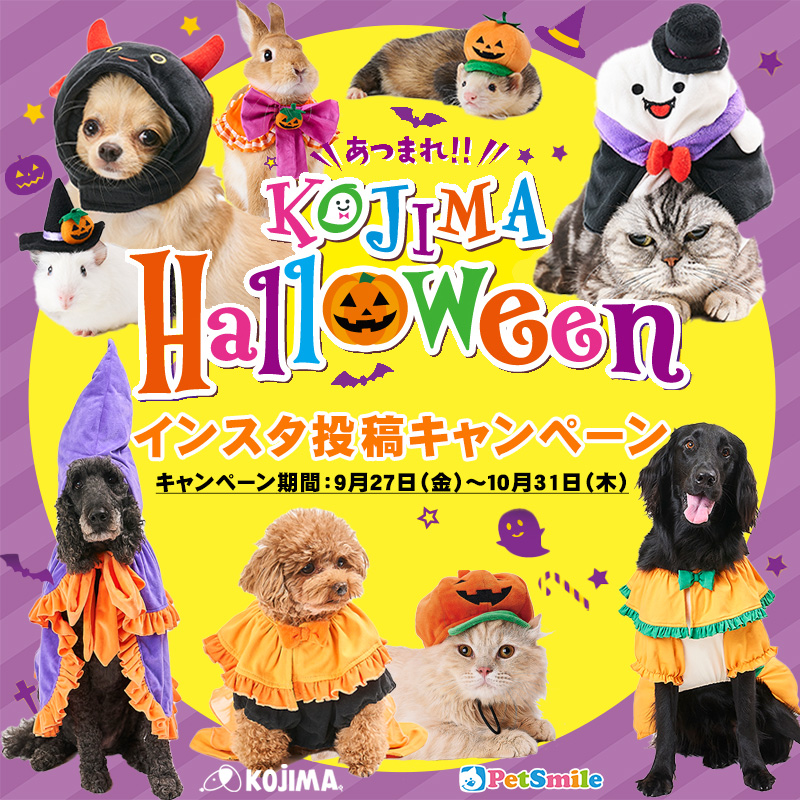 HappyHalloween♪2024コジマハロウィンインスタ投稿キャンペーン